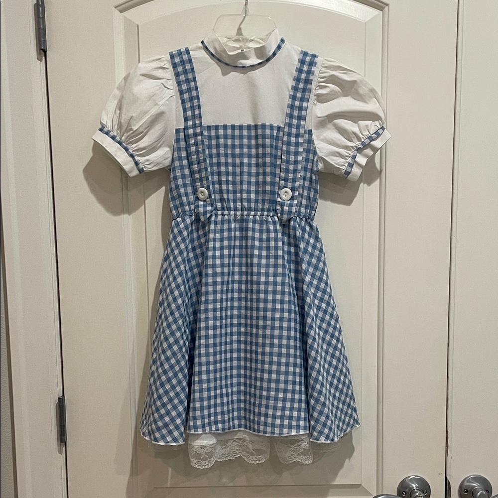 Blue and White Gingham Kids Dorothy Costume Dress. “Wizard of Oz”